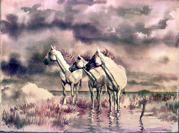 Wild Horses
