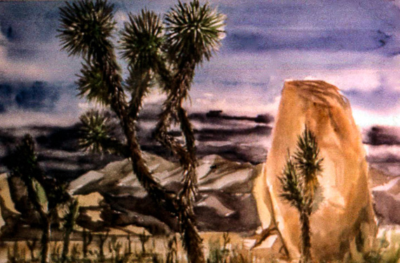 Joshua Tree Desert